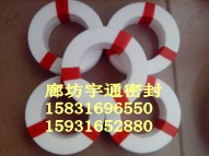 四氟耐磨环四氟填料四氟阀门垫