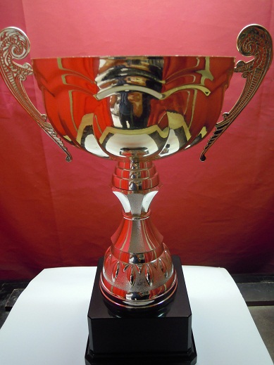 西安金属奖杯 西安特制奖杯 西安定做奖杯厂家