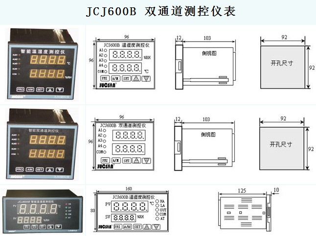 JCJ600B 智能双通道测控仪