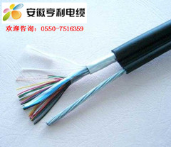 广安本安信号屏蔽电缆IJVPVP电缆(乐昌水利)